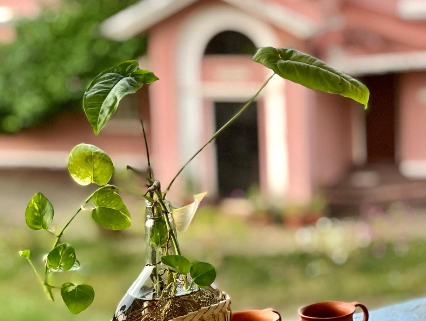 Chalet Saffron Goa Бенаулим Екстериор снимка